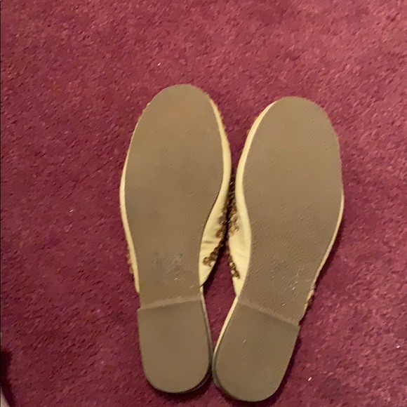 City snappers - Picture 5 of 6